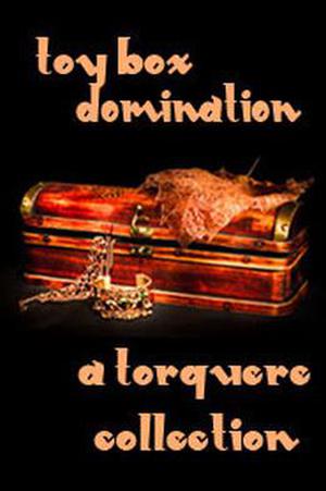 Toy Box: Domination (Hammer #9.8)