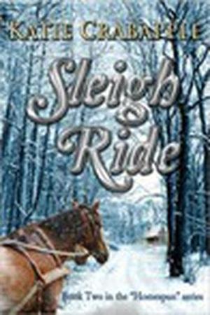 Sleigh Ride (Homespun #2)