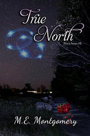 True North by M.E. Montgomery