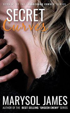 Secret Curves (Dangerous Curves #5)