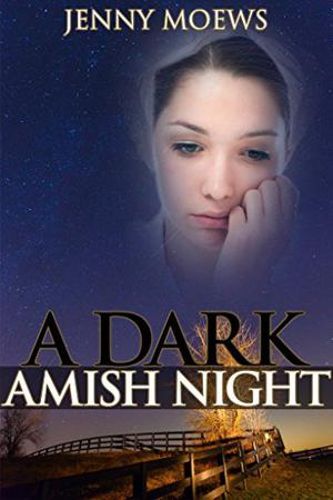 A Dark Amish Night by Jenny Moews