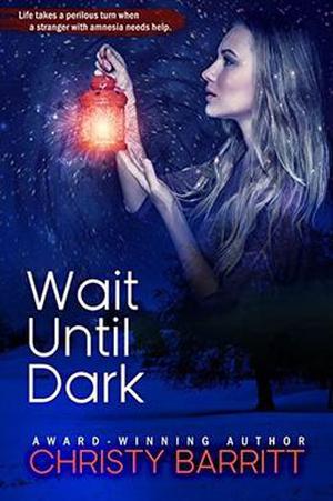 Wait Until Dark: Carolina Moon Series, Book 3 by Christy Barritt