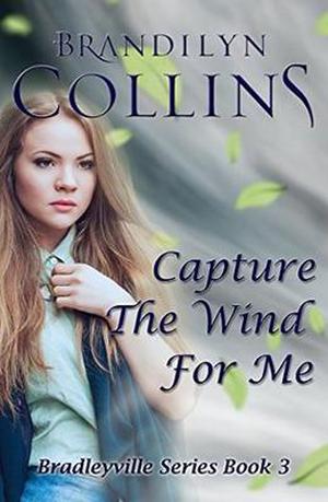 Capture the Wind for Me by Brandilyn Collins