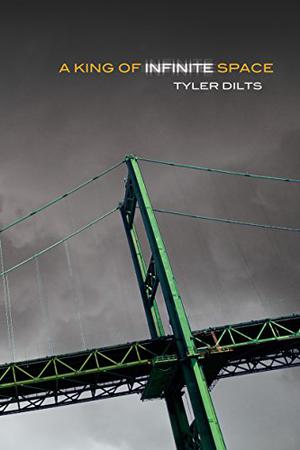 A King of Infinite Space by Tyler Dilts