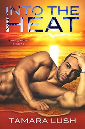 Into the Heat  (Burning Secrets) by Tamara Lush