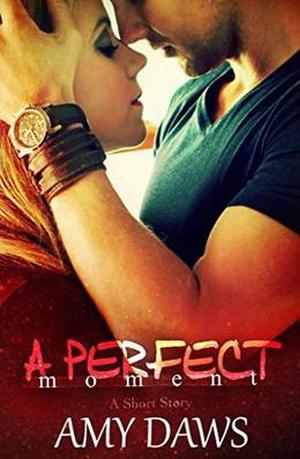 A Perfect Moment by Amy Daws