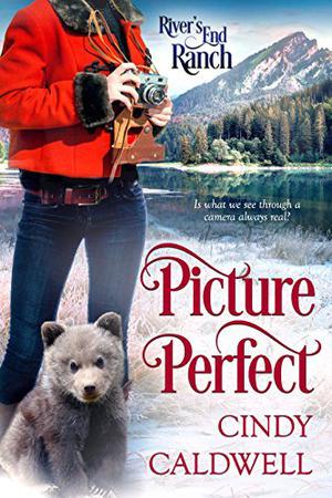 Picture Perfect (River's End Ranch #45)