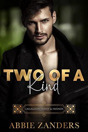 Two of a Kind (Callaghan Brothers #10)