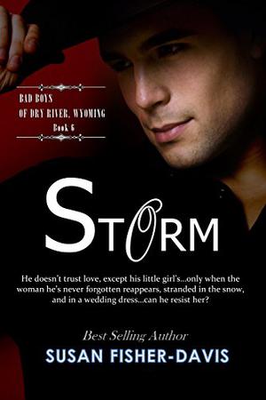 Storm (Bad Boys of Dry River, Wyoming #6)