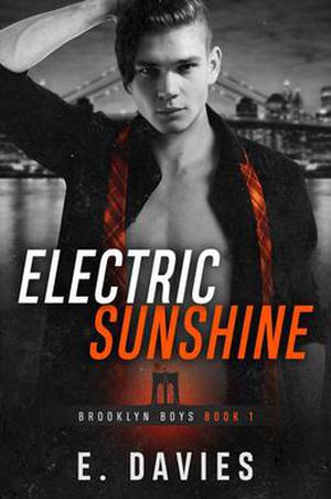 Electric Sunshine (Brooklyn Boys #1)