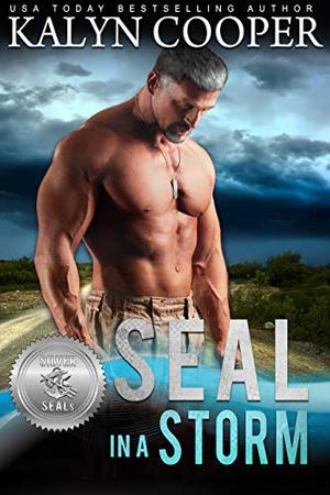 SEAL in a Storm (Silver SEALs #5)