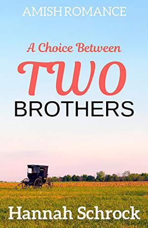 A Choice Between Two Brothers by Hannah Schrock