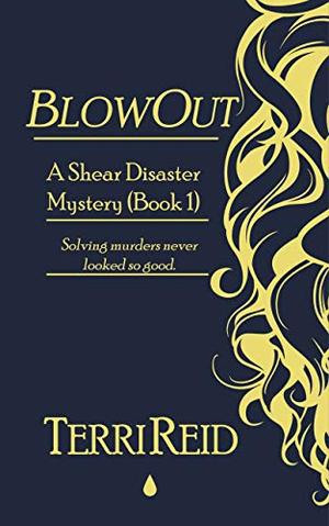 BlowOut: A Shear Disaster Mystery (Book One) by Terri Reid