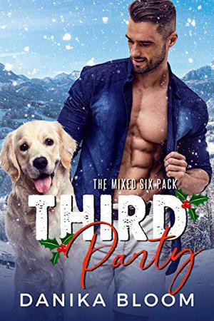Third Party: A second chance, holiday romance (The Mixed Six-Pack #3)