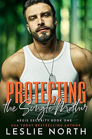 Protecting the Single Mother (Aegis Security #1)