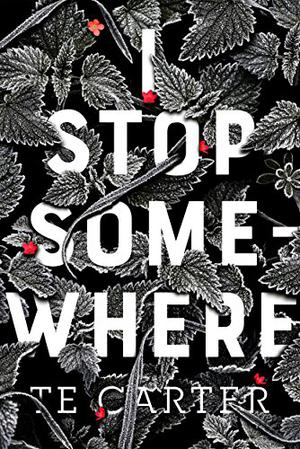 I Stop Somewhere by T.E. Carter