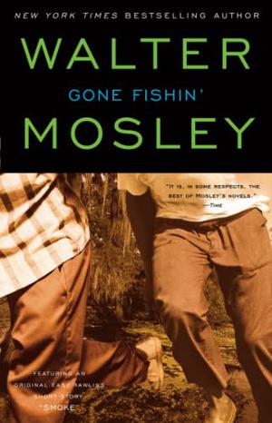 Gone Fishin' (Easy Rawlins #6)