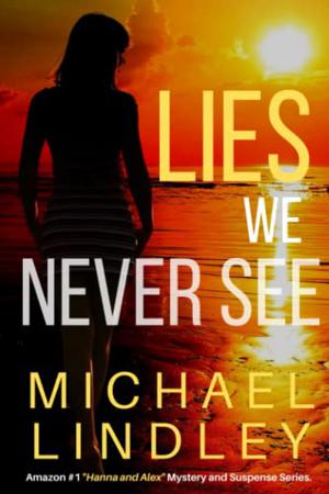 Lies We Never See by Michael Lindley