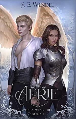 Aerie (Broken Wings Duet #1)