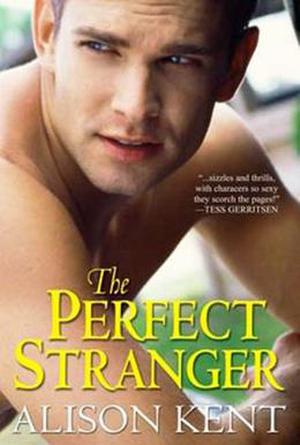 The Perfect Stranger (Smithson Group SG-5 #9)