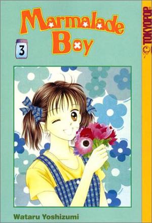 Marmalade Boy Vol. 3 (ママレード・ボーイ / Marmalade Boy #3)