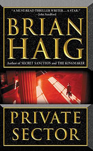 Private Sector by Brian Haig, Michael Emerson, John Rubinstein
