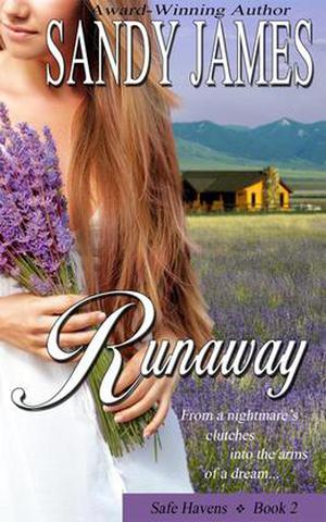 Runaway (Safe Havens #2)