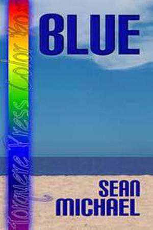 Blue, A Jarheads Story by Sean Michael