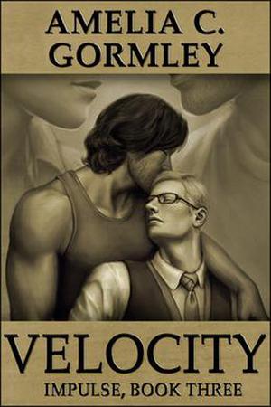 Velocity by Amelia C. Gormley, Kerry Chin, Michael Hart