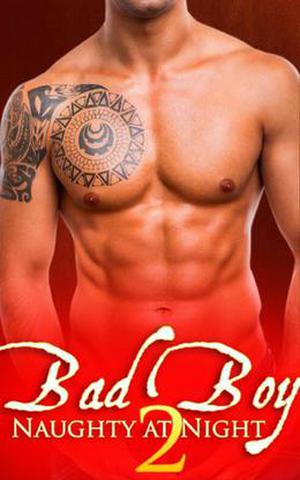 Bad Boy: Naughty at Night 2 (Bad Boy: Naughty at Night #2)