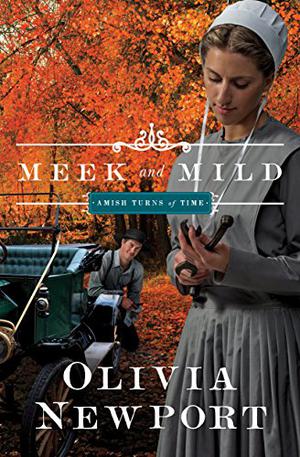 Meek and Mild (Amish Turns of Time #2)