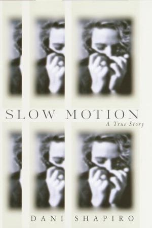 Slow Motion by Dani Shapiro