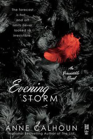 Evening Storm (Irresistible #4)