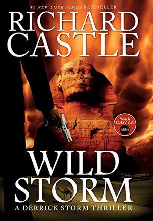 Wild Storm by Richard Castle