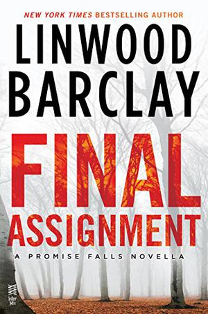 Final Assignment (Promise Falls #1.5)