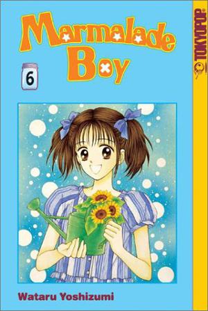 Marmalade Boy Vol. 6 (ママレード・ボーイ / Marmalade Boy #6)