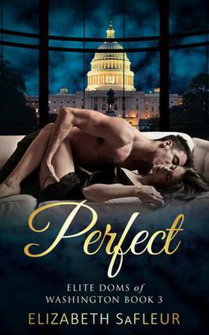 Perfect by Elizabeth SaFleur