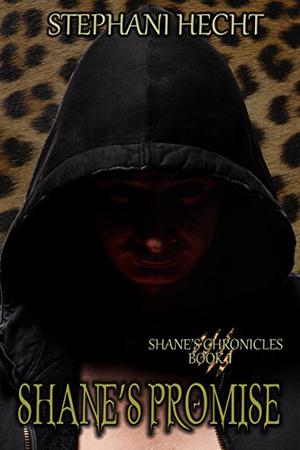Shane's Promise by Stephani Hecht