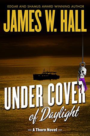 Under Cover of Daylight (Thorn Mystery #1)