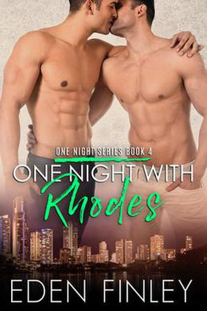 One Night with Rhodes (One Night Series #4)