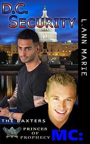 D.C. Security by L. Ann Marie