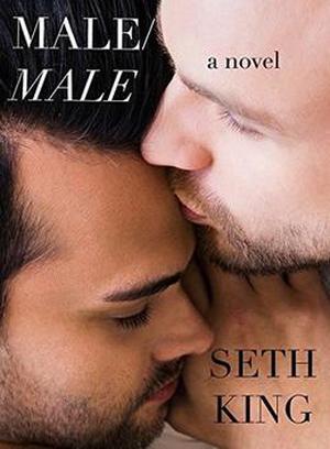 Male/Male: A Novel by Seth King