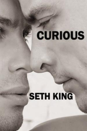 Curious by Seth King