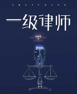 一级律师 by Mu Su Li, 木苏里