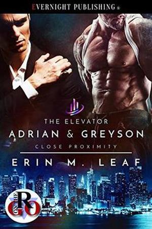 The Elevator by Erin M. Leaf