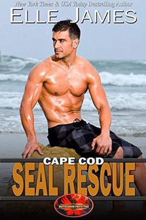 Cape Cod SEAL Rescue (Brotherhood Protectors #10)