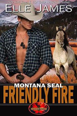 Montana SEAL Friendly Fire (Brotherhood Protectors #11)