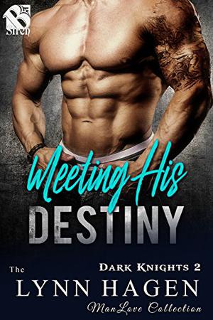 Meeting His Destiny (Dark Knights #2)
