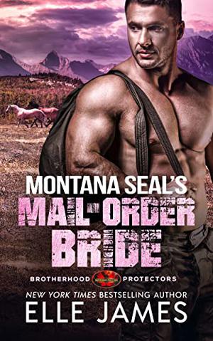 Montana SEAL's Mail-Order Bride (Brotherhood Protectors #12)