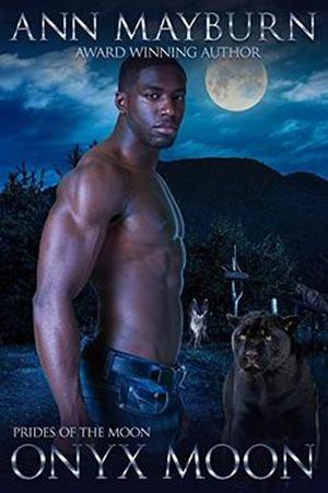 Onyx Moon by Ann Mayburn